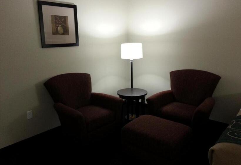 Стандартный Номер Кровать Кинг, Travelodge By Wyndham Mcalester