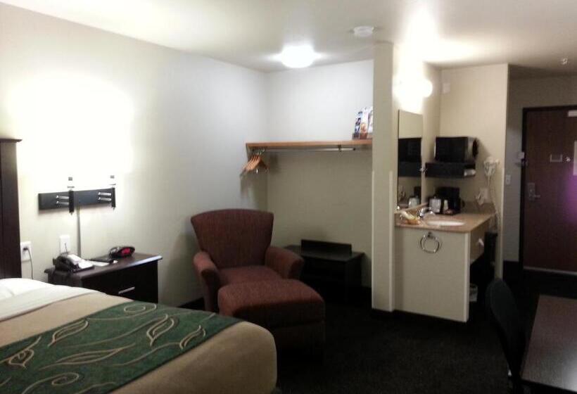 Номер Deluxe Адаптированный для Инвалидов, Travelodge By Wyndham Mcalester