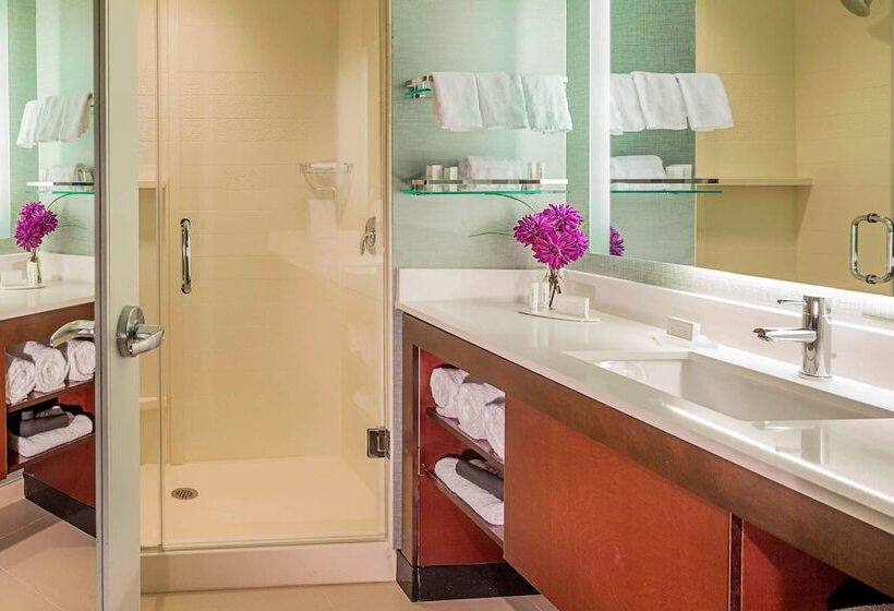 스위트, Residence Inn By Marriott Omaha Downtown Old Market Area