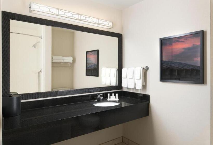 带大床的标准间, Fairfield By Marriott Inn & Suites Knoxville Turkey Creek