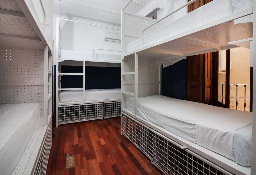 تختخواب در اتاق مشترک, Feel Hostels City Center