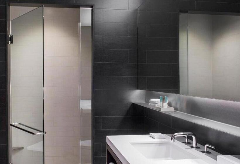 디럭스 룸 도시 전망, Hyatt Centric Times Square New York