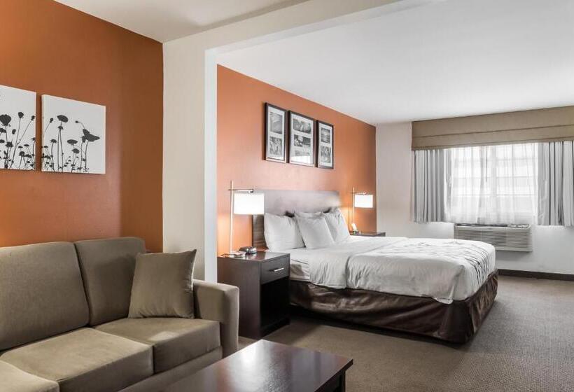 스위트 킹사이즈 침대, Sleep Inn