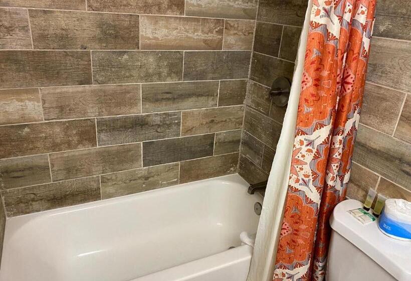 Номер Стандарт, The Viking Lodge   Downtown Winter Park Colorado