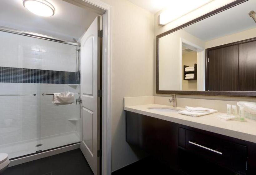 带大床的套房, Staybridge Suites Buffalo Amherst, An Ihg