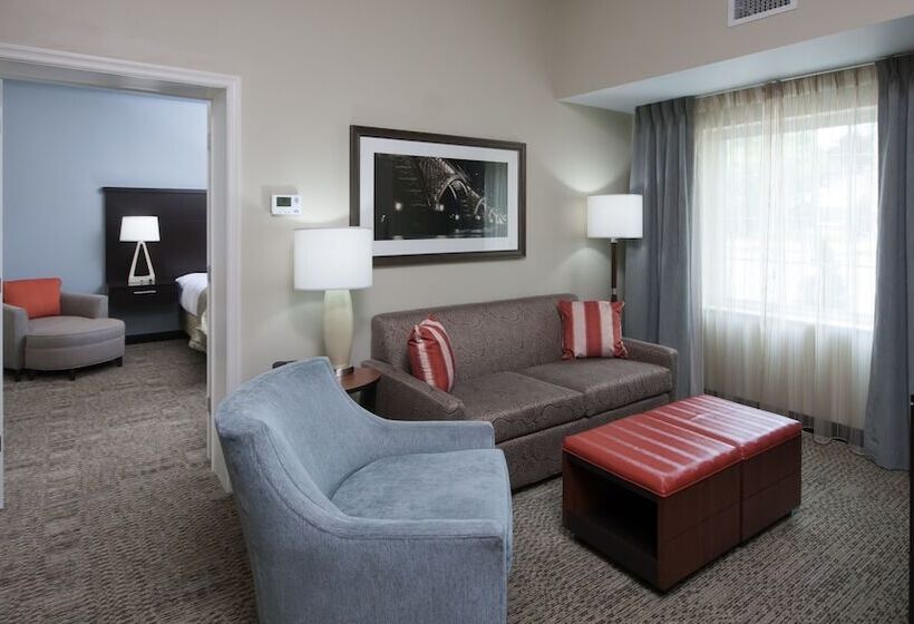适合残疾人士使用的套间, Staybridge Suites Buffalo Amherst, An Ihg