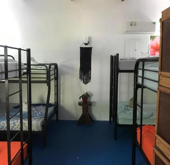 تختخواب در اتاق مشترک, Luminosa Uvita Hostel