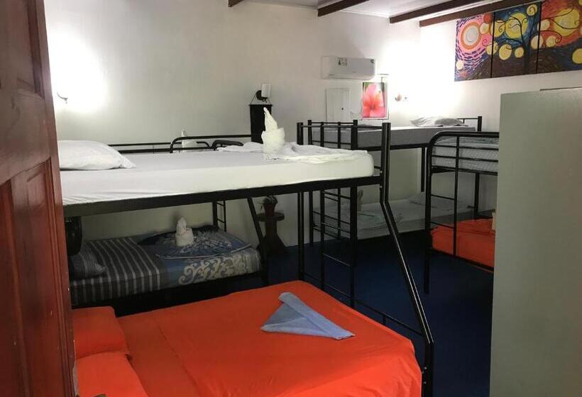 تختخواب در اتاق مشترک, Luminosa Uvita Hostel