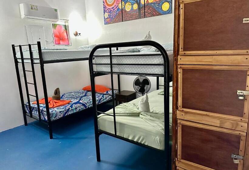 تختخواب در اتاق مشترک, Luminosa Uvita Hostel