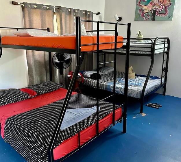 تختخواب در اتاق مشترک, Luminosa Uvita Hostel
