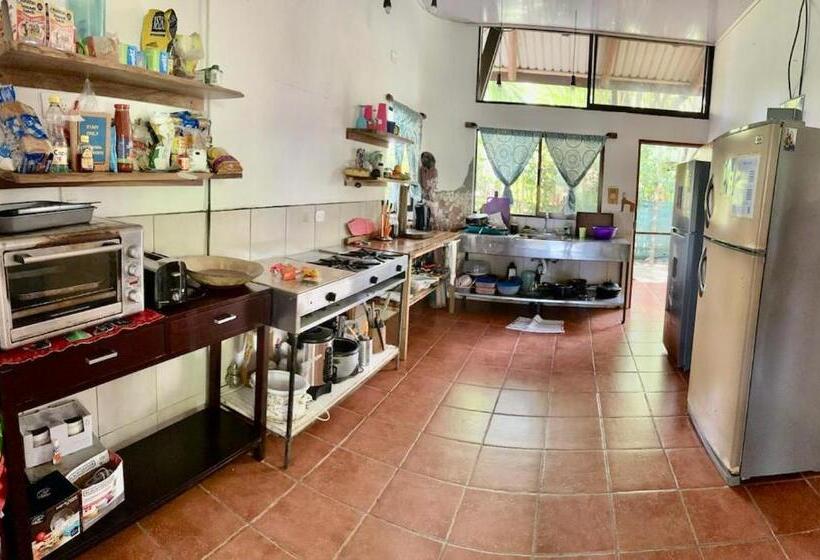 تختخواب در اتاق مشترک, Luminosa Uvita Hostel