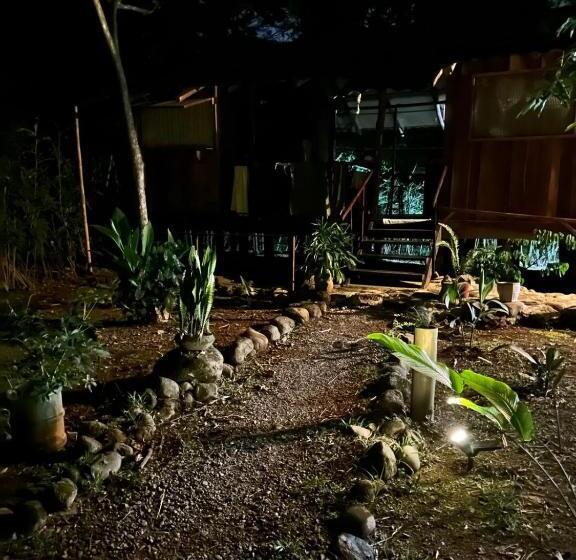 تختخواب در اتاق مشترک, Luminosa Uvita Hostel
