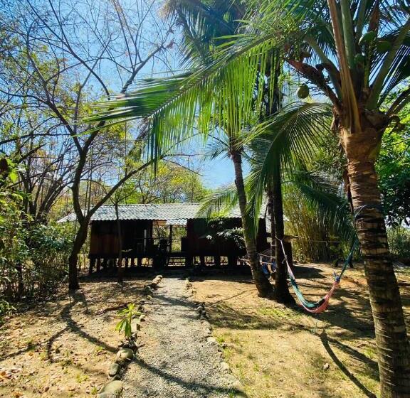 تختخواب در اتاق مشترک, Luminosa Uvita Hostel