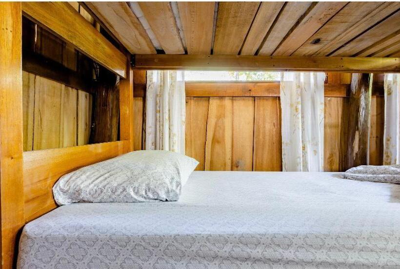 تختخواب در اتاق مشترک, Luminosa Uvita Hostel