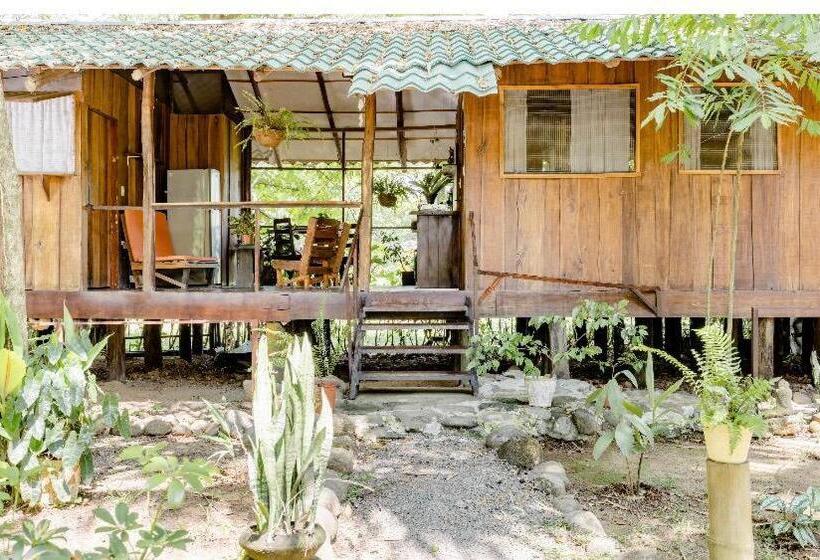 تختخواب در اتاق مشترک, Luminosa Uvita Hostel