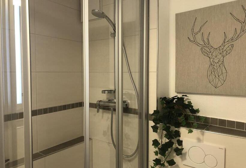 Номер Стандарт, Pension Und Ferienwohnung Frech