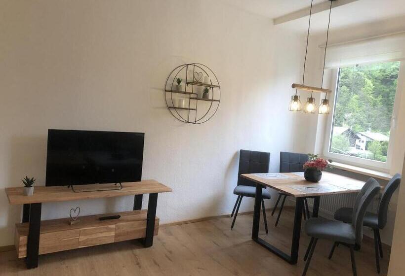 Апартаменты 1 Спальня с Видом, Pension Und Ferienwohnung Frech