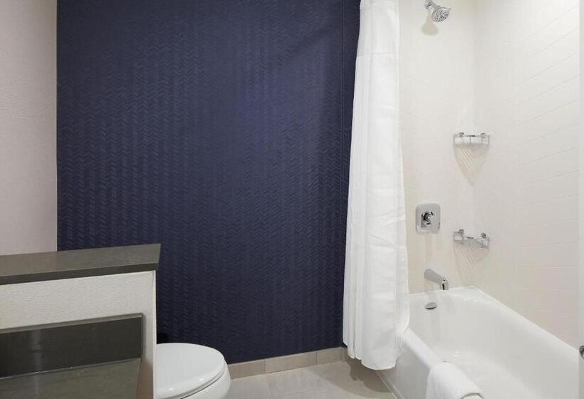 Номер Стандарт, Fairfield Inn & Suites Seneca Clemson Univ Area