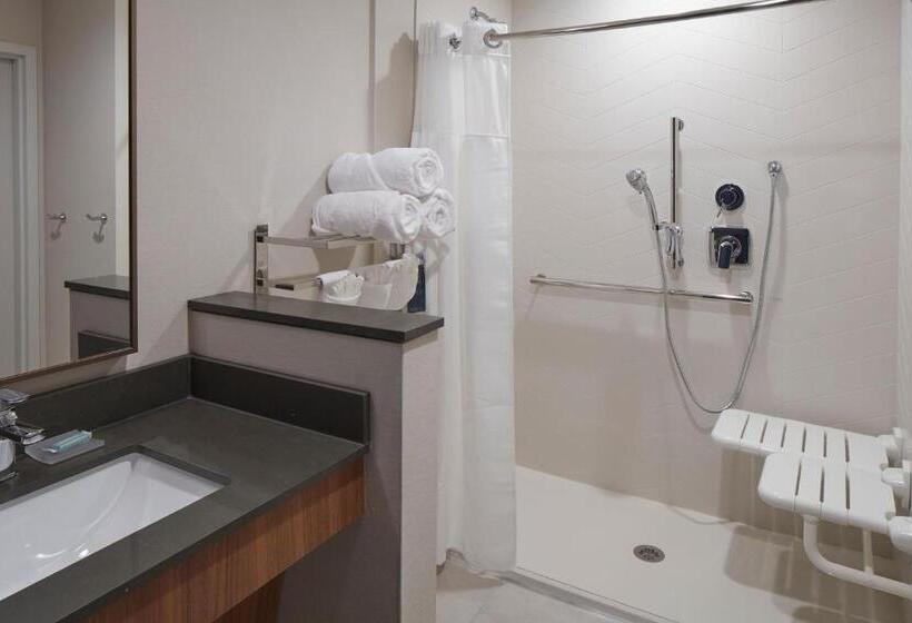 Стандартный Номер Кровать Кинг, Fairfield Inn & Suites Seneca Clemson Univ Area