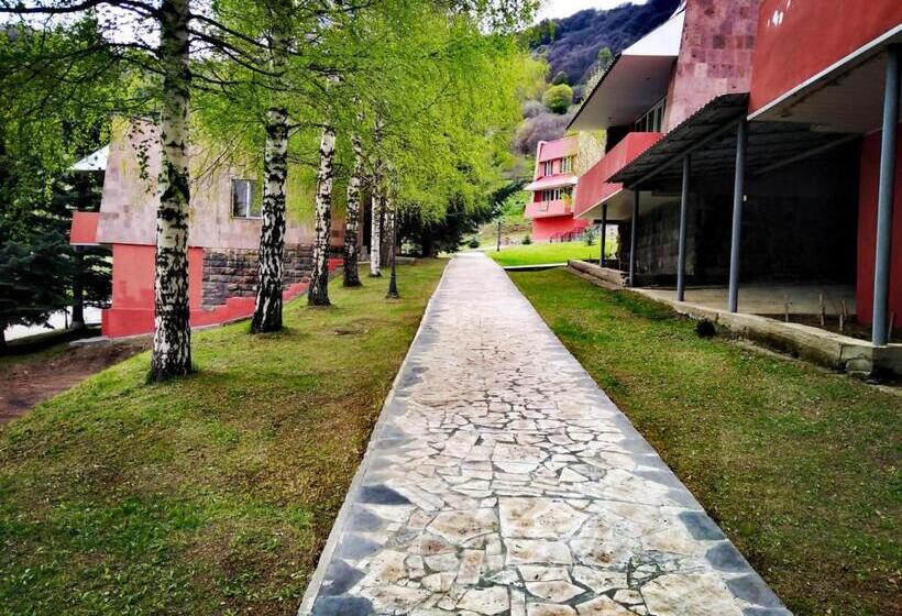 Дом 1 Спальня, Ani Resort