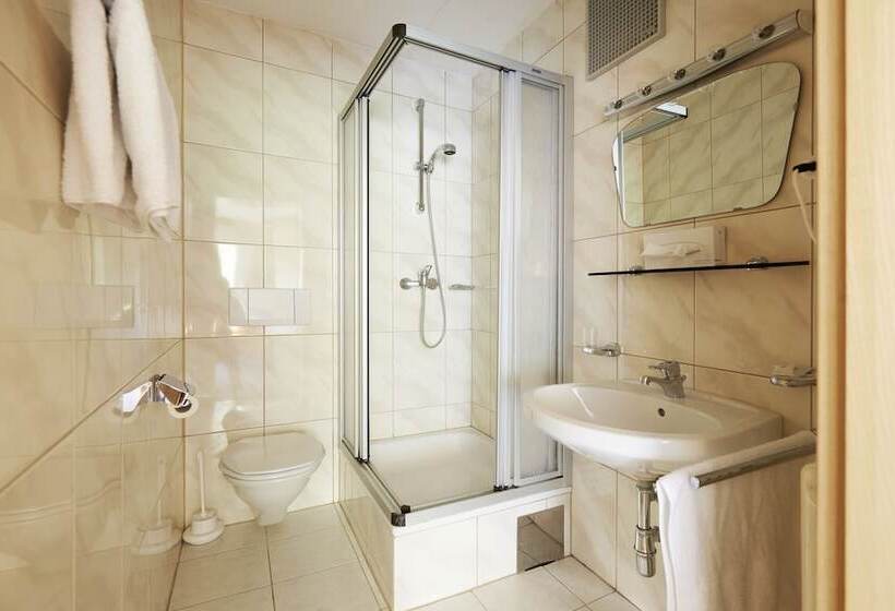 اتاق عادی, Alpenhotel Laurin