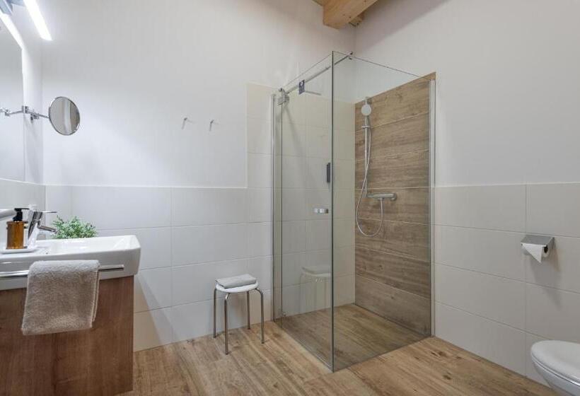 Апартаменты Пентхаус 1 Спальня, Alpenparks Hotel Montana Matrei