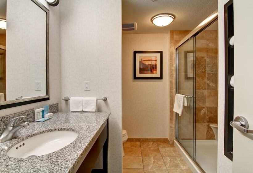Номер Стандарт, Hampton Inn & Suites By Hilton Red Deer