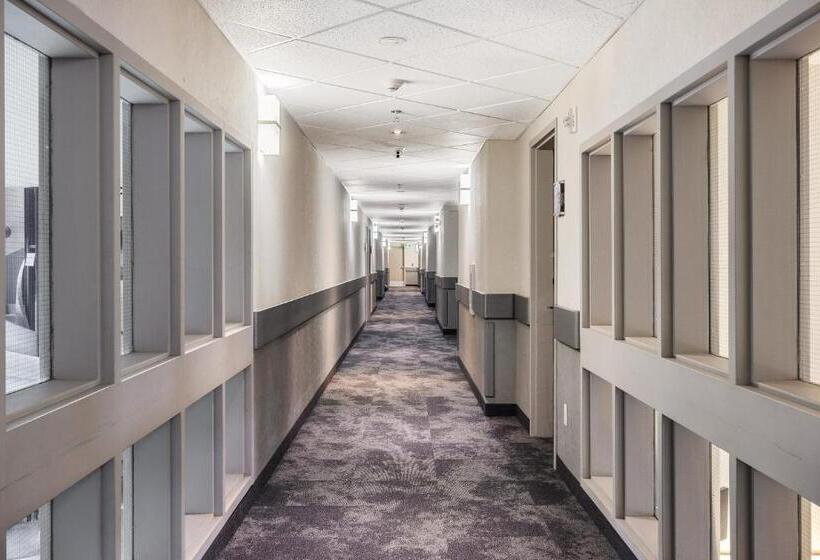 キングサイズベッドのスイートルーム, Home Inn & Suites Yorkton
