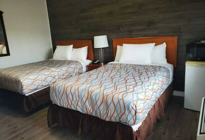 Номер Стандарт 2 Двуспальные Кровати, Silverstar Motel