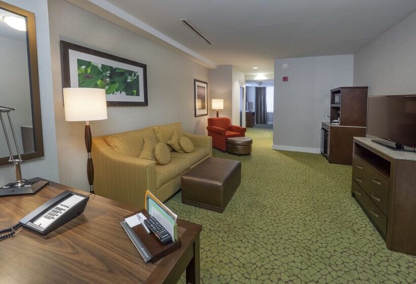 Люкс Повышенной Комфортности, Hilton Garden Inn Buffalo Downtown