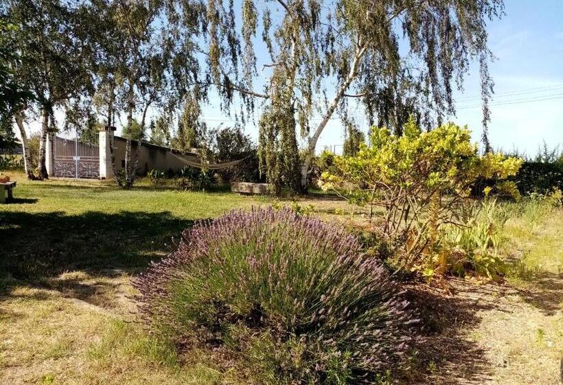 Номер Стандарт Вид на Сад, Le Clos Champêtre