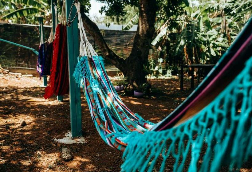 Номер Стандарт, Hostel Travelers Chitre