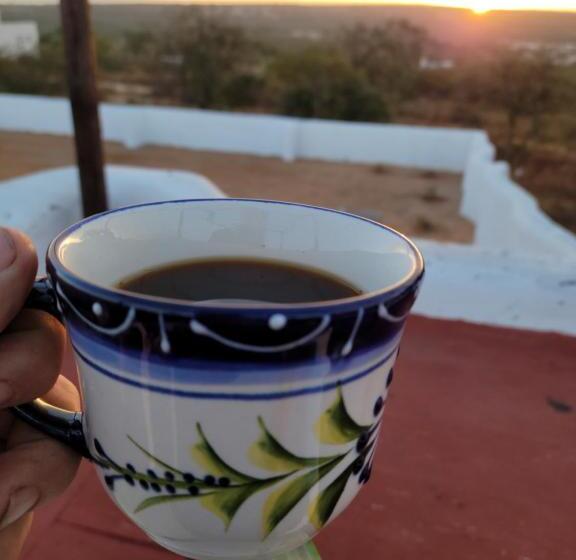 غرفة قياسية مطلّة علي البحر, The O Asis