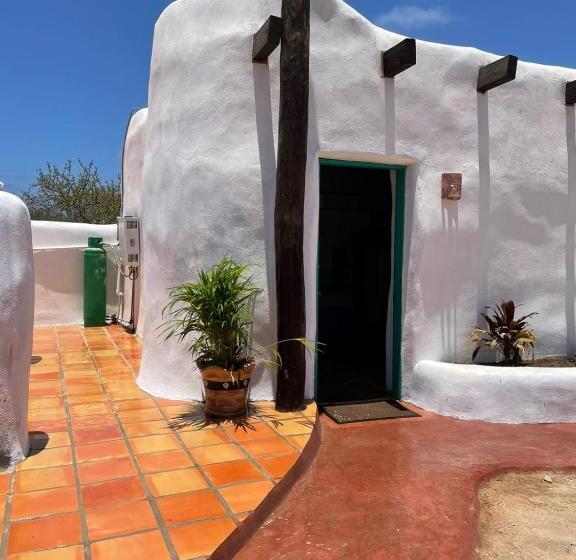 منزل غرفتين نوم, The O Asis