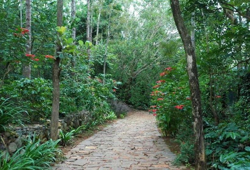 ویلای 1 خوابه, Blue Valley Estate 12 Acre Forest Silver Oak Villa
