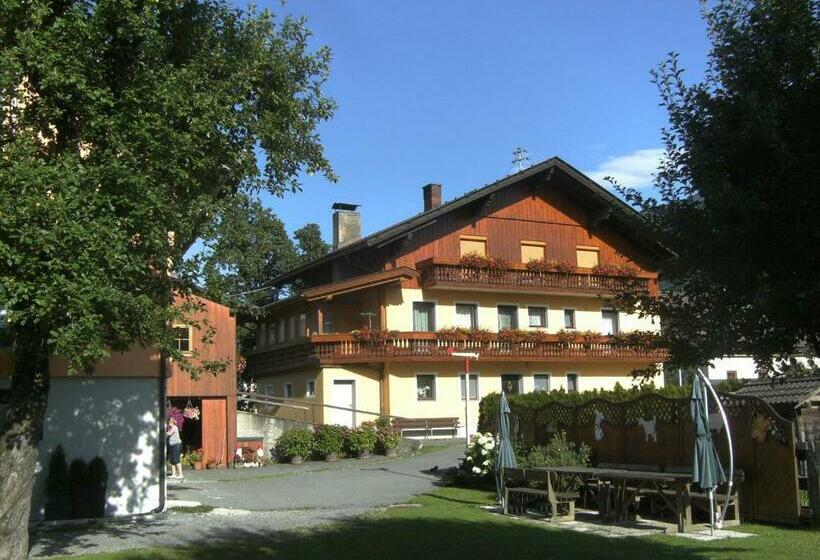 Апартаменты 1 Спальня Вид на Сад, Bauernhof Katin