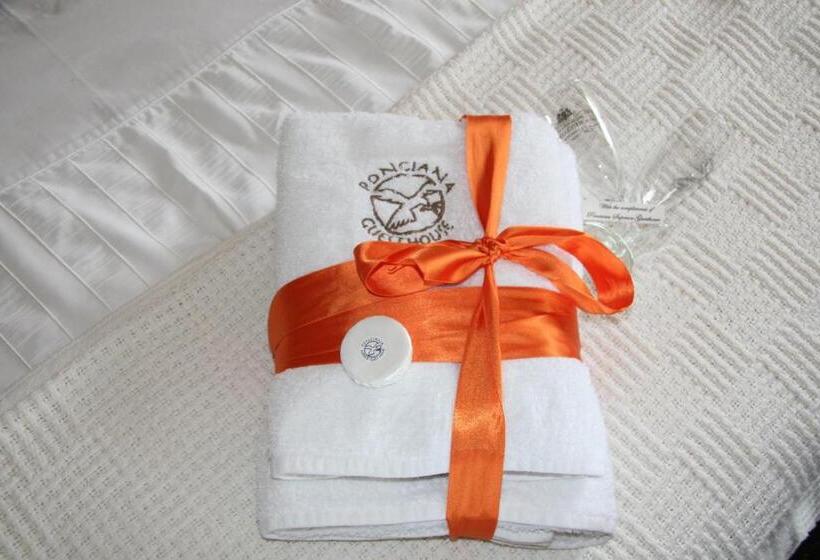 اتاق استاندارد با تراس, Ponciana Superior Guesthouse