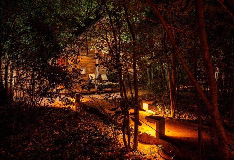 کلبه ییلاقی, Aliya Resort And Spa   Thema Collection