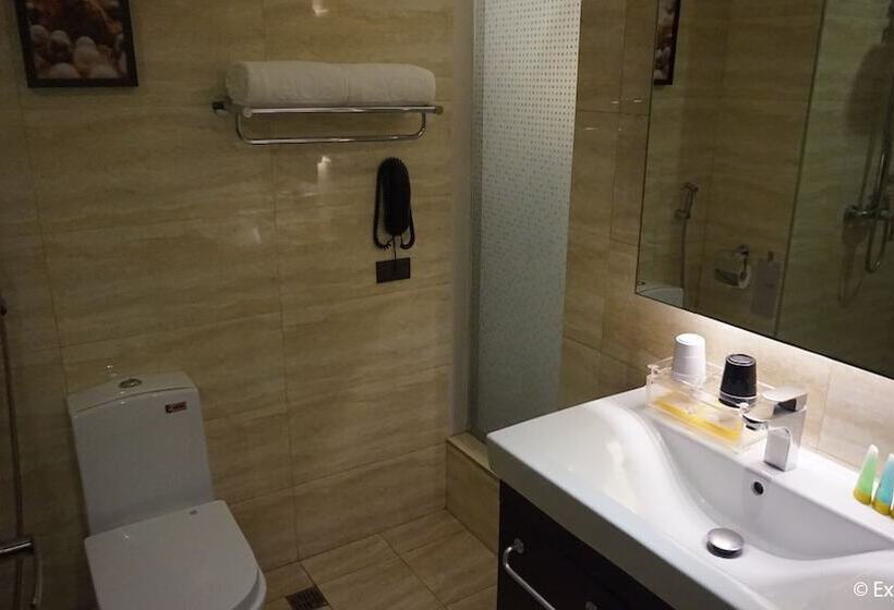 디럭스 룸, Ace Hotel And Suites