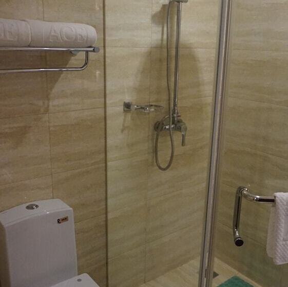주니어 스위트, Ace Hotel And Suites