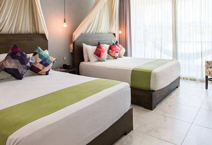 Habitación Estándar, Soho Playa