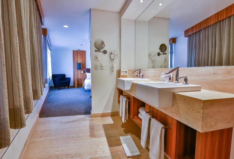 Suit Deluxe, Oft Alfre Hotels   Goiânia