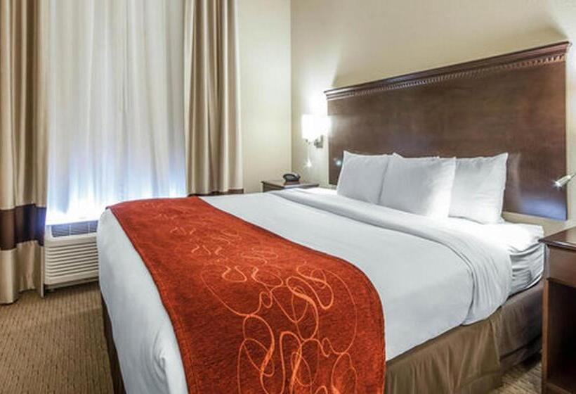Люкс Кровать Кинг, Comfort Suites Marietta Parkersburg