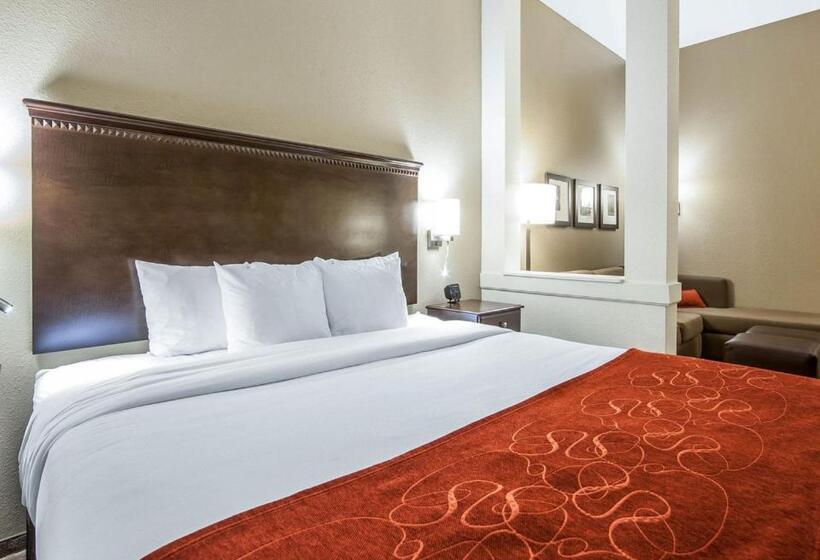 Люкс Executive Кровать Кинг, Comfort Suites Marietta Parkersburg