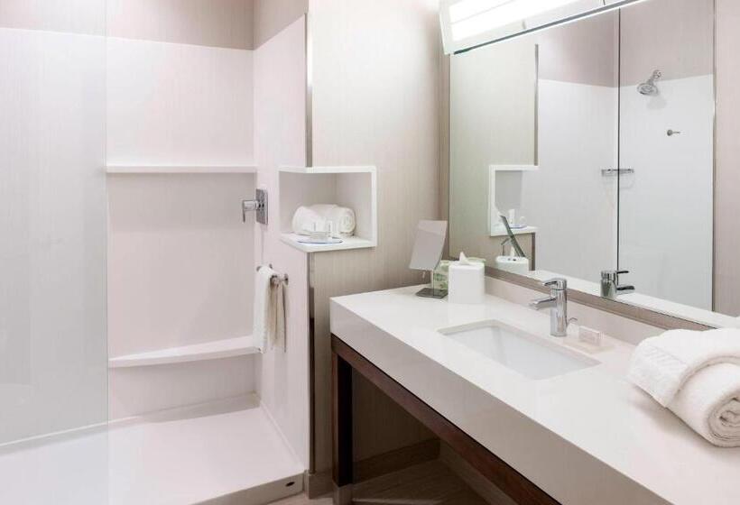 带大床的套房, Courtyard By Marriott Houston North/shenandoah