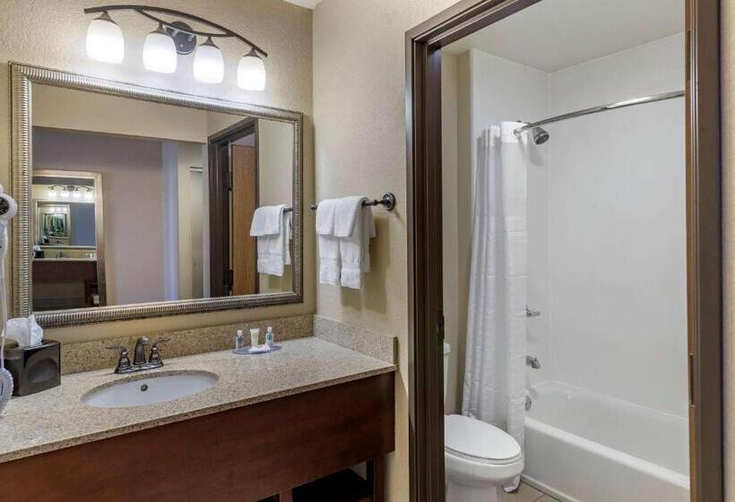 Номер Стандарт, Comfort Inn & Suites