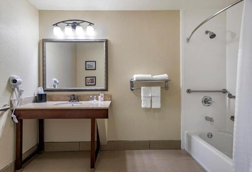 Номер Стандарт Кровать Кинг Адаптированный для Инвалидов, Comfort Inn & Suites