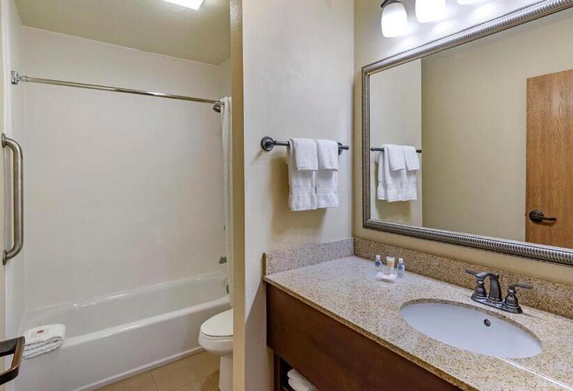 Семейный Номер, Comfort Inn & Suites