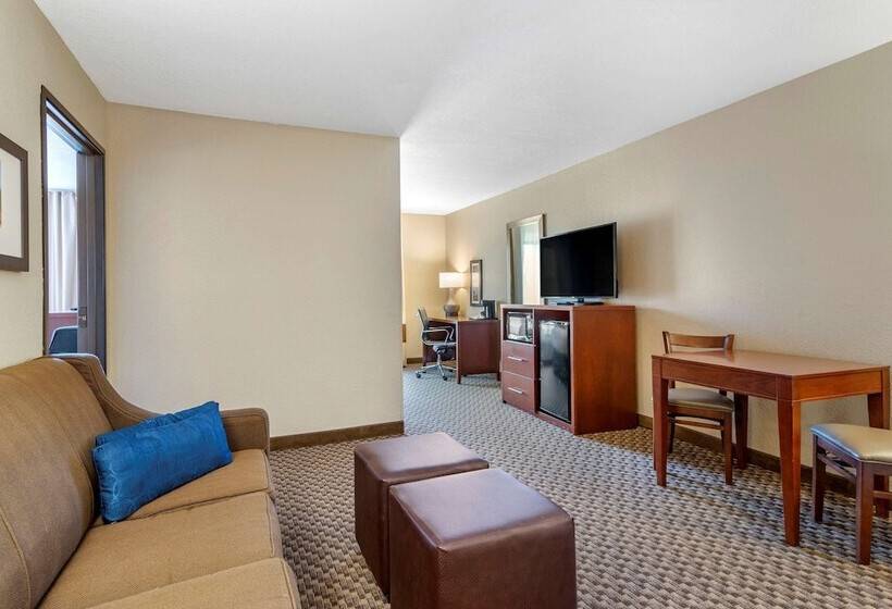 Люкс Адаптированный для Инвалидов, Comfort Inn & Suites