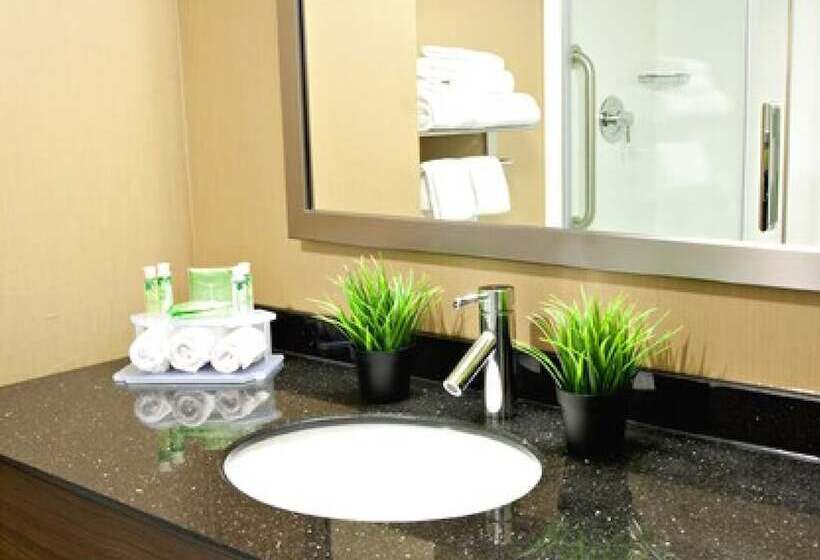 套房, Holiday Inn Express Pembroke, An Ihg